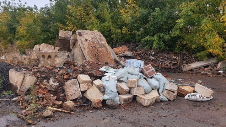 Ущерб от свалки в Альметьевске экологи оценили в 4 млн рублей