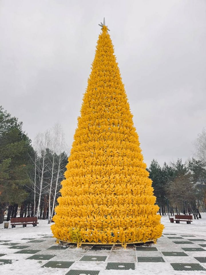 Гигантская кукуруза: в Нижнекамске установили желтую новогоднюю ель