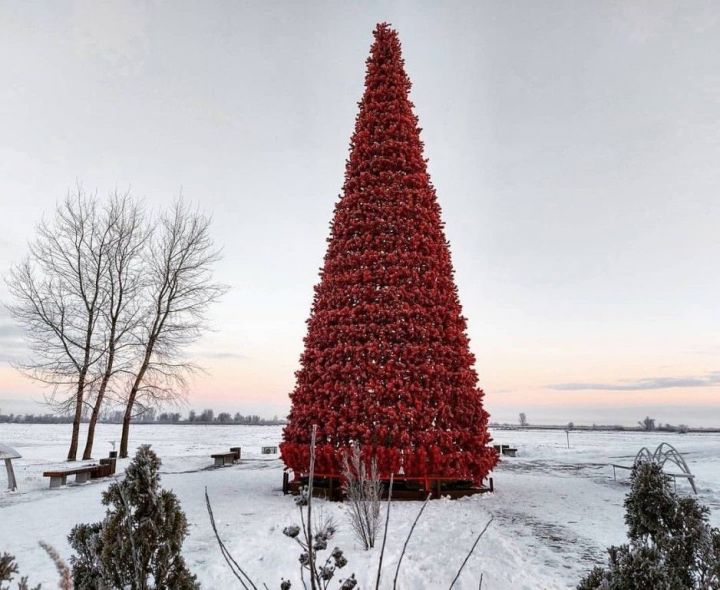 В Нижнекамске установили новогоднюю елку красного цвета