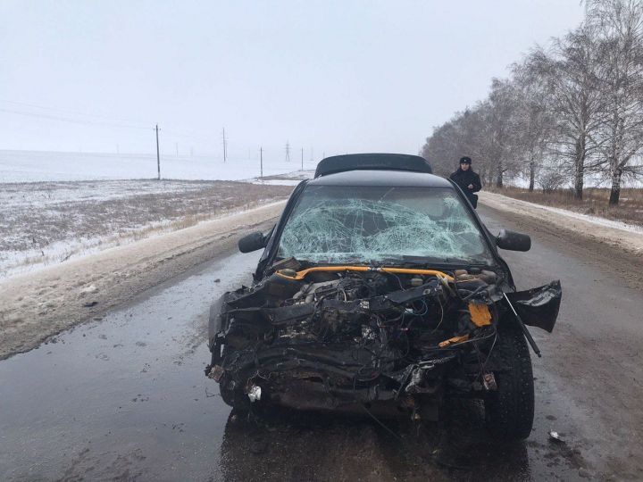 Водитель «Нивы» погиб при столкновении с «десяткой» на трассе в Татарстане