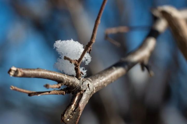Синоптики рассказали о погоде в начале декабря в Татарстане