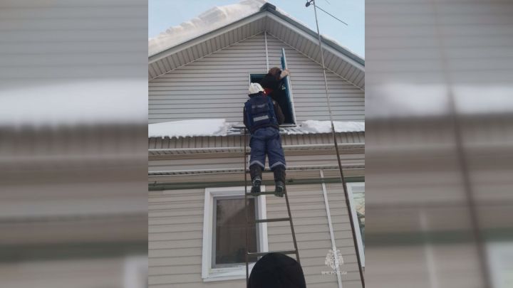 В Казани спасли 82-летнюю бабушку, которая застряла на крыше дома