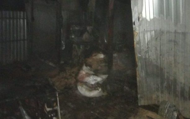 Поджигателя приюта для собак  в Рыбно-Слободском районе осудили на 10 лет строгого режима