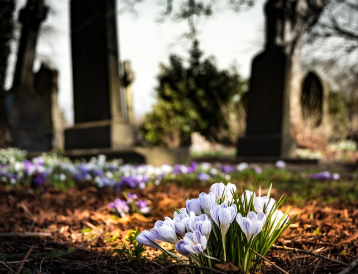 В Казани увеличилась стоимость погребения на городских кладбищах