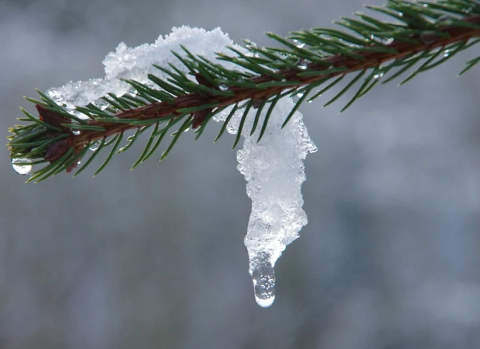В Татарстане ожидается до трех градусов тепла, мокрый снег и дождь