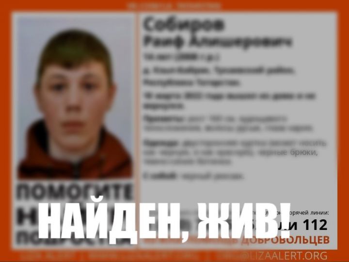 Пропавшего в Тукаевском районе 14-летнего мальчика нашли живым