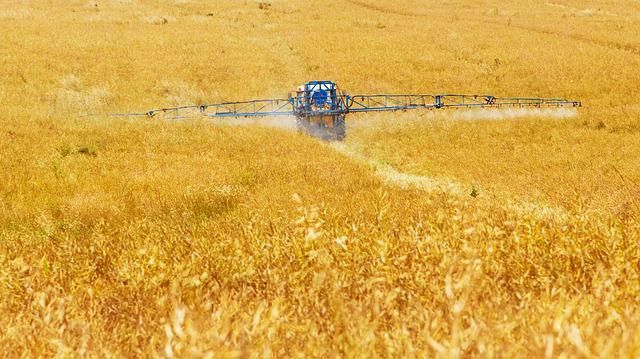 Татарстан обеспечен семенами на 115% – Минсельхоз