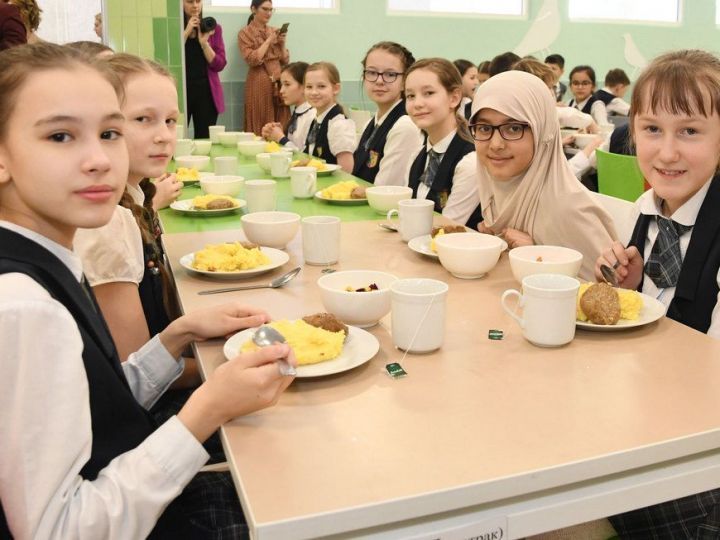 На ремонт школьных столовых в Татарстане направят почти 600 млн рублей