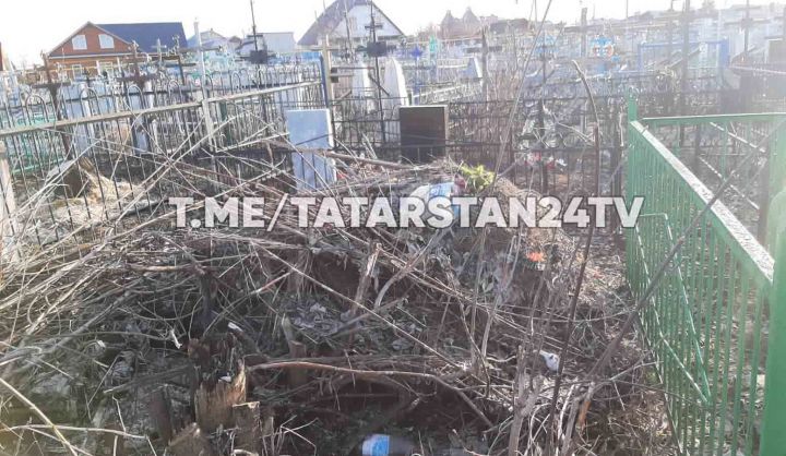 В Буинске на православном кладбище неизвестные массово срубили деревья