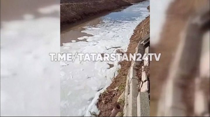 Экологи начали проверку после сброса «химозы» в казанское озеро Средний Кабан
