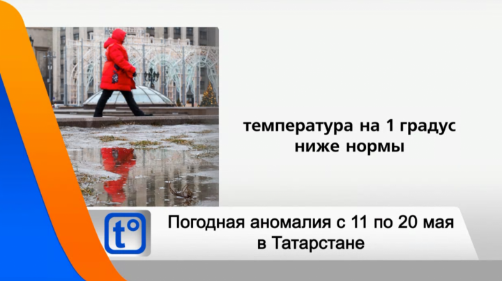 В Татарстане ожидается гроза и сильный ветер порывами до 20 м/с