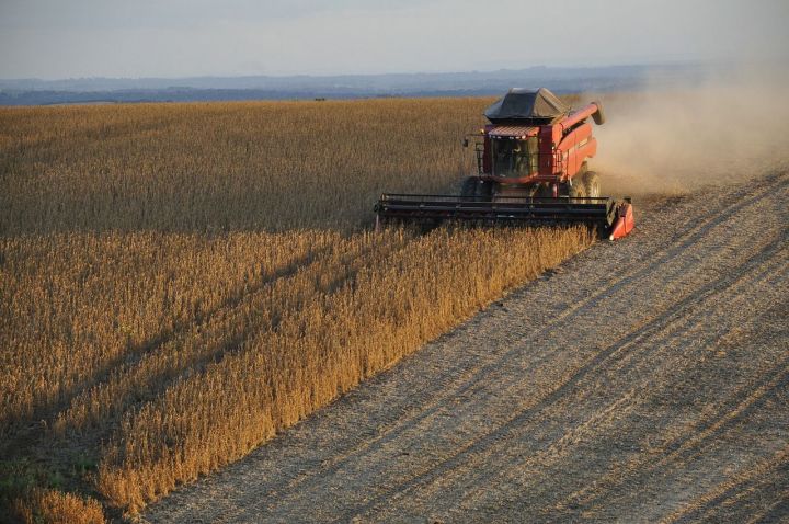 Путин: в 2022 году может быть собран рекордный урожай зерна