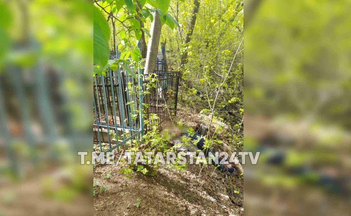 В Казани на кладбище обнаружили труп, висевший на дереве