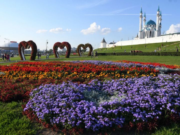В Казани на цветочное оформление потратят 55 миллионов рублей