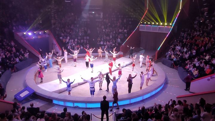 Новым директором Казанского цирка назначена Эльмира Булатова