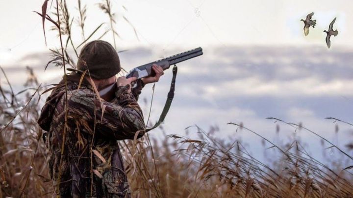 В Татарстане утвердили нормы допустимой добычи охотничьих ресурсов
