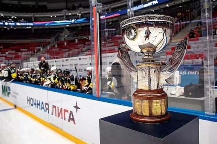Татарстанская команда вышла в финал фестиваля Ночной хоккейной лиги в Сочи