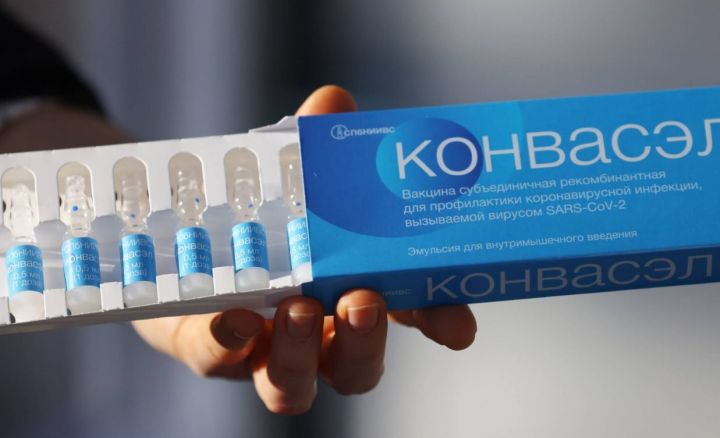 В этом году в России планируют начать испытания вакцины «Конвасэл» на пожилых