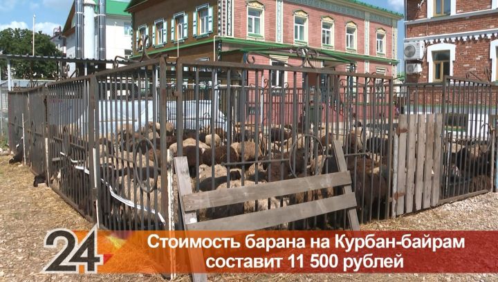 В Казани выросла стоимость барашка на Курбан-байрам