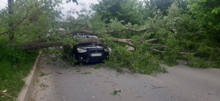 В Казани дерево рухнуло на автомобиль с водителем