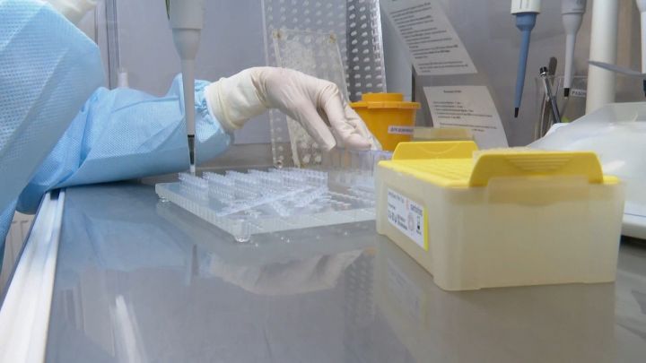 В России выявили пять случаев заражения подвидом коронавируса «Кентавр»