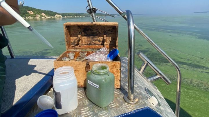 В Татарстане экологи взяли пробы позеленевшей воды в Волге
