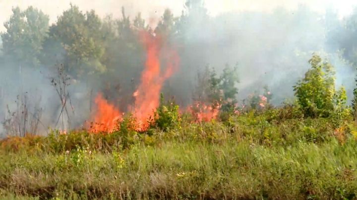 В Татарстане объявлено штормовое предупреждение из-за высокой пожароопасности