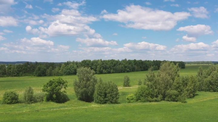«Погода в Татарстане всегда приятная»: Минниханов поделился роликом летних пейзажей республики