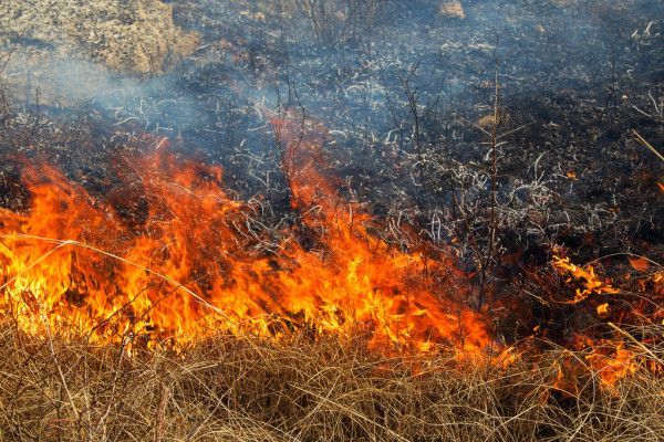 С начала весны в РТ зафиксировано 800 случаев горения травы и мусора