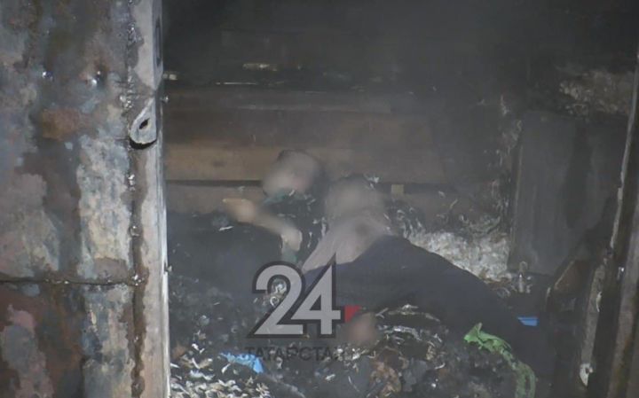 Заперший людей в горящей бане в Зеленодольске получил 21 год «строгача»
