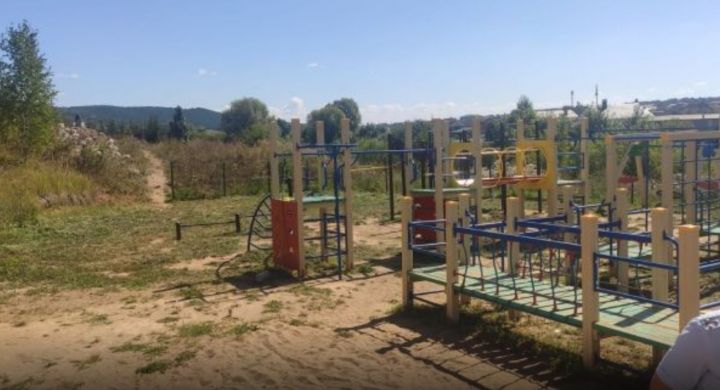 Очаг бешенства выявили на детской площадке в Кукморском районе