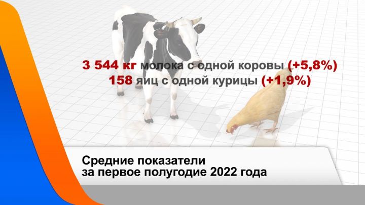 За первое полугодие производство молока и яиц в Татарстане выросло на 1,6%