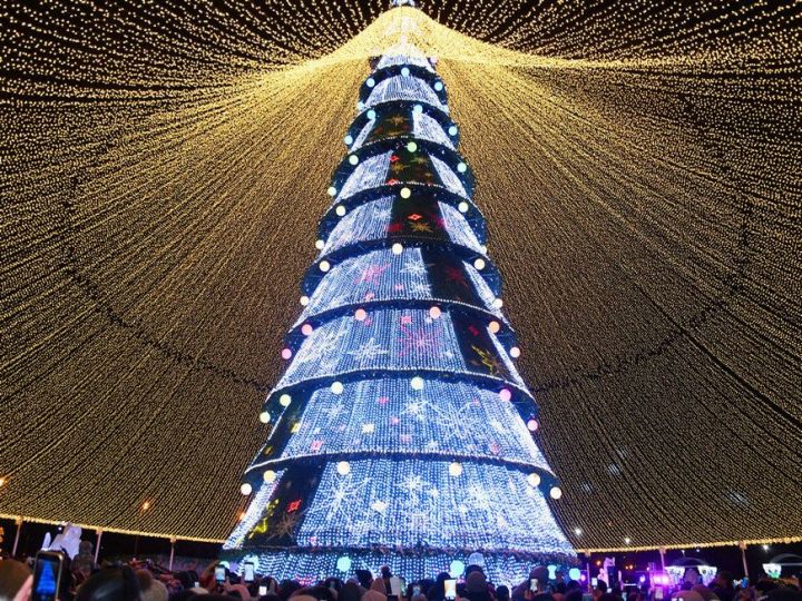 Установка новогодней елки у «Чаши» обойдется Казани почти в 15 млн рублей