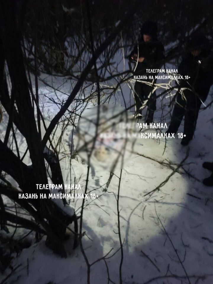 Под Казанью лыжник нашел обглоданный собаками труп мужчины