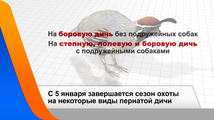 Охота на некоторые виды пернатой дичи завершается в Татарстане