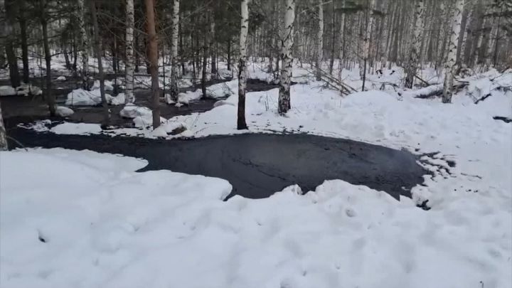 В Сабинском районе займутся рекультивацией нефтезагрязненного участка
