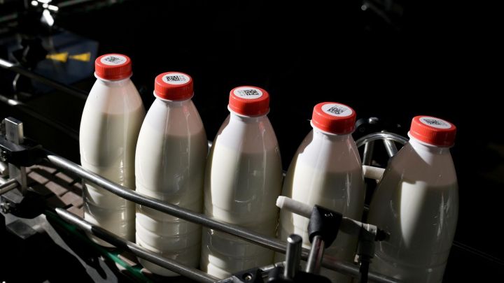 За год в Татарстане произведено более 1,2 млн тонн молока