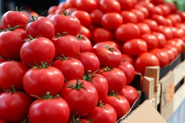 В Татарстане помидоры подорожали на 9,8% за неделю