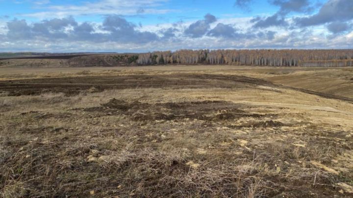 Огромный карбонатный карьер рекультивировали в Татарстане