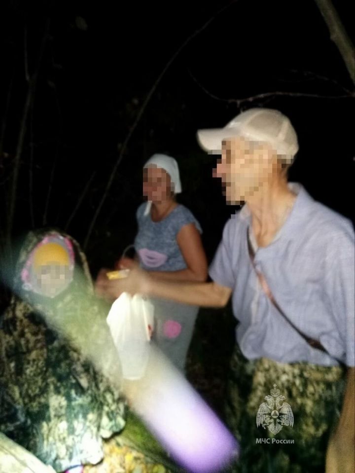 Спасатели нашли заблудившуюся в Боровецком лесу семью
