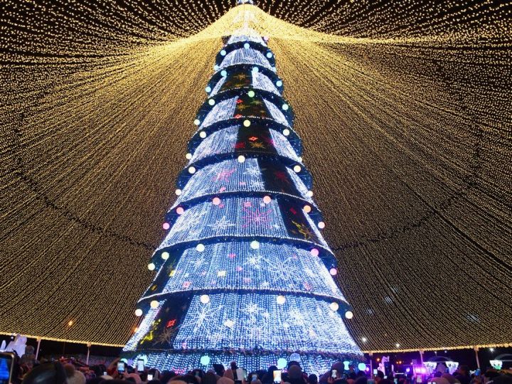 На открытие праздничной елки в Казани выделят 2,6 млн рублей