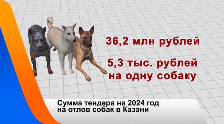 Власти Казани выделят более 36 млн рублей на отлов бездомных животных