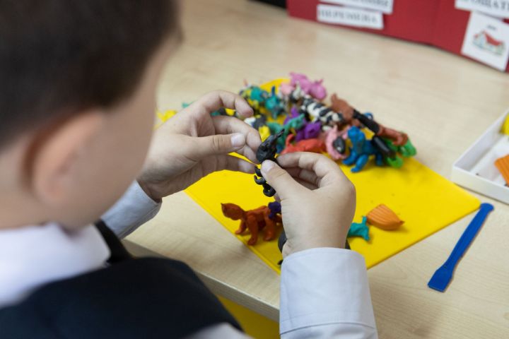 В Казани проводят работу по развитию инклюзивной среды для детей с аутизмом