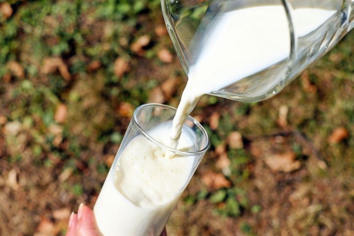 В Татарстане уменьшилось производство молока в личных хозяйствах