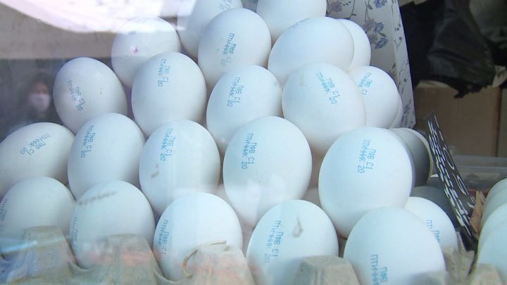 В России ожидают снижение цен на куриные яйца после Нового года