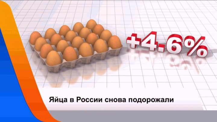 Куриные яйца в России подорожали на 5% за неделю