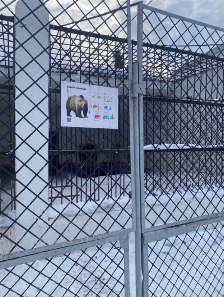 Прокуратура выявила нарушения в работе Казанского зооботсада