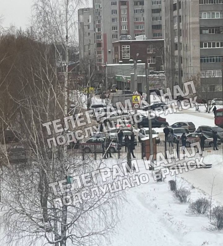Школьница устроила стрельбу в школе в Брянске