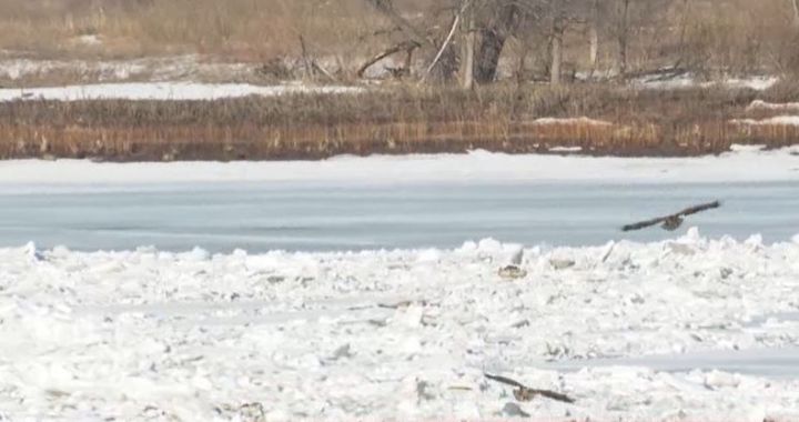 В Татарстане начался ледоход на трех реках