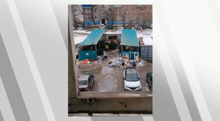 Стоят неделями: в казанской многоэтажке завелись тараканы из-за неубранных мусорных баков